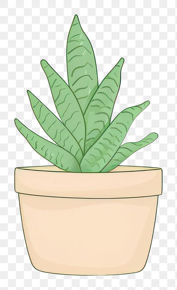PNG  Pot plant cartoon leaf houseplant. AI generated Image by rawpixel.