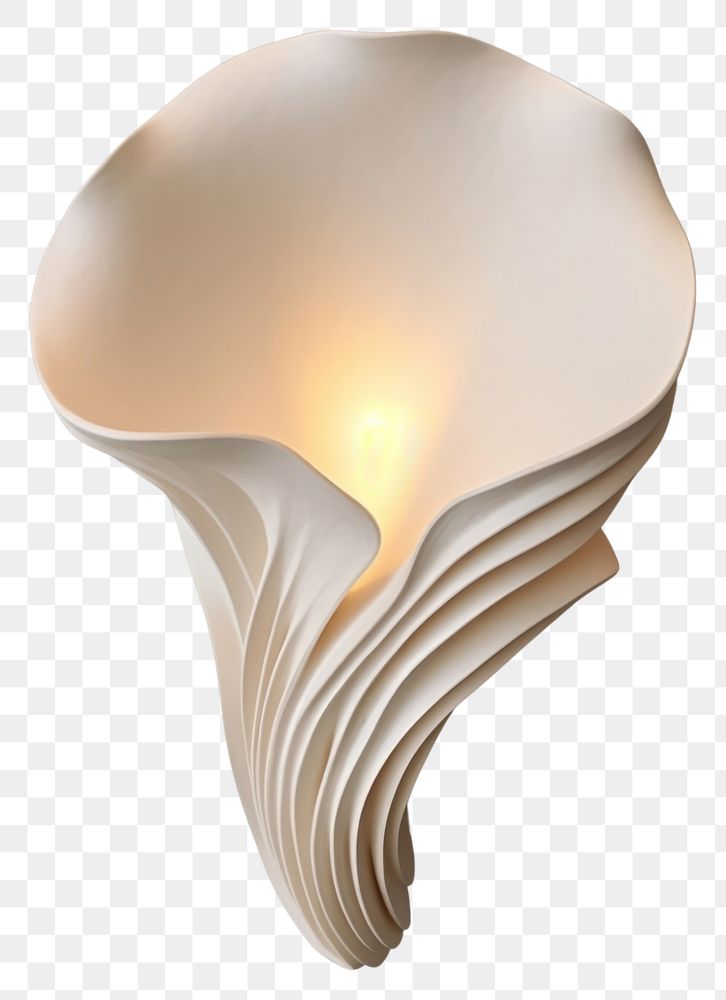 PNG A white organic shell wall light lamp simplicity lampshade.