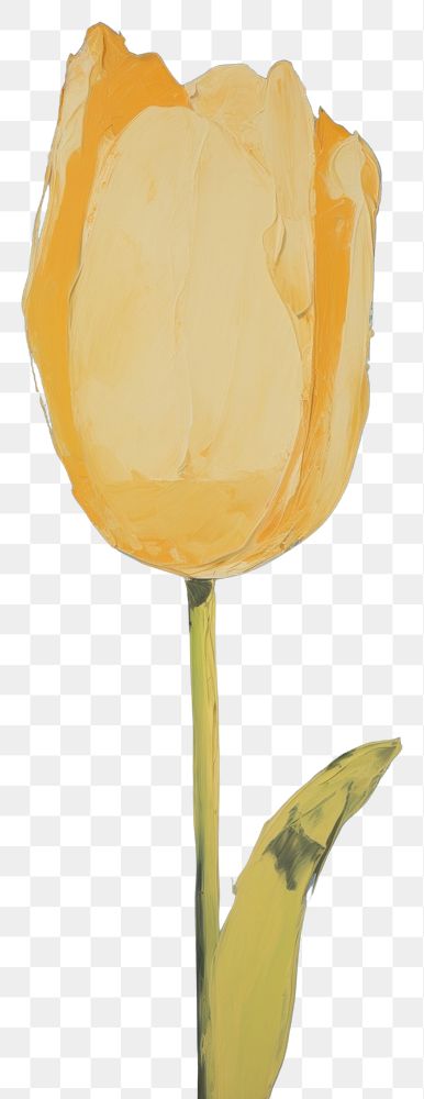 PNG Yellow tulip flower painting plant. AI generated Image by rawpixel.