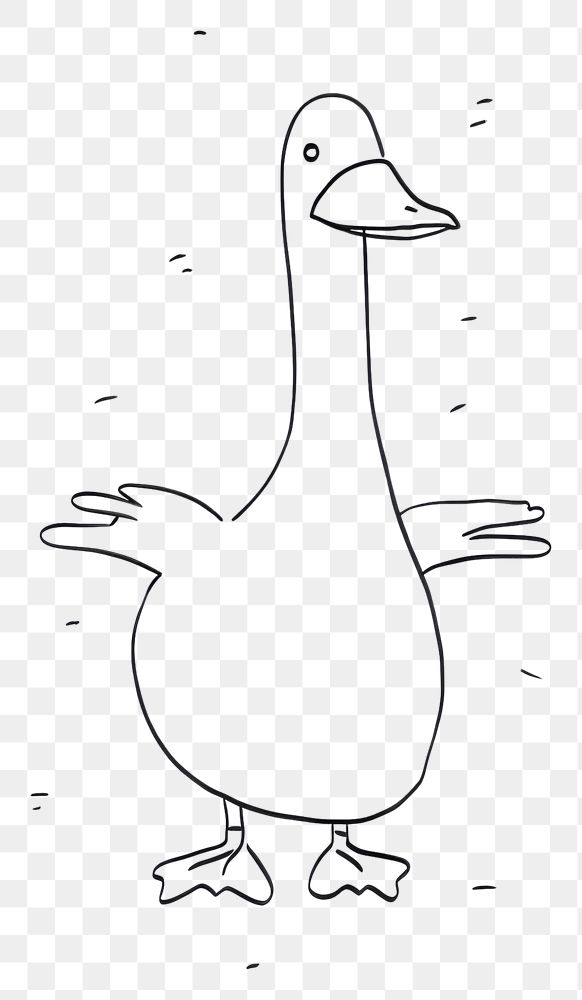 PNG Duck sketch drawing animal.