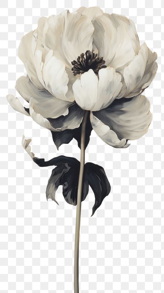 PNG Black tulip flower pattern painting petal plant. AI generated Image by rawpixel.