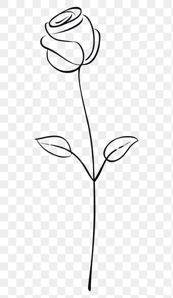 PNG Rose sketch drawing flower.