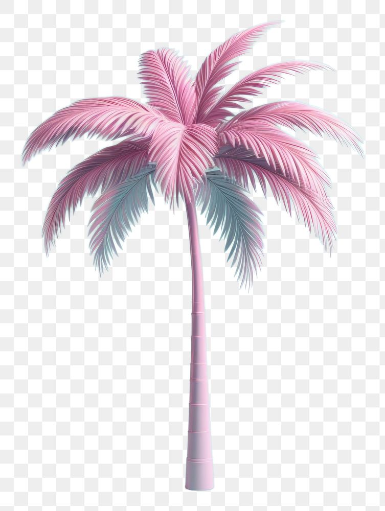 PNG Palm tree plant arecaceae nature.