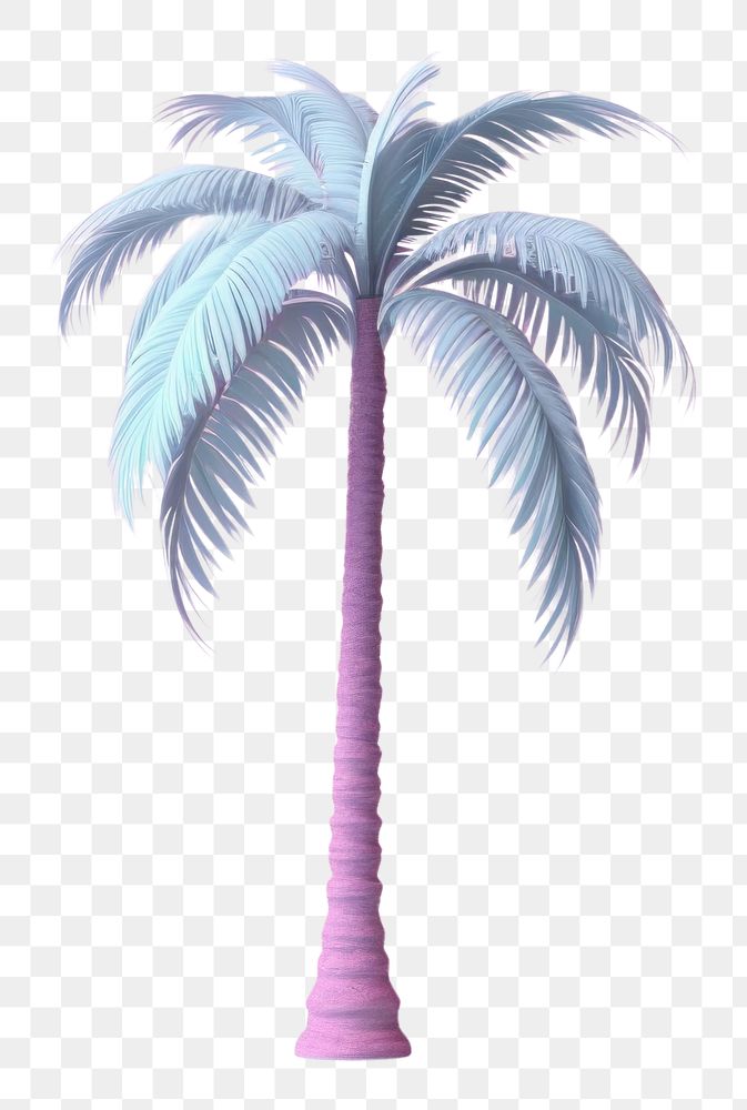 PNG Palm tree plant arecaceae coconut.