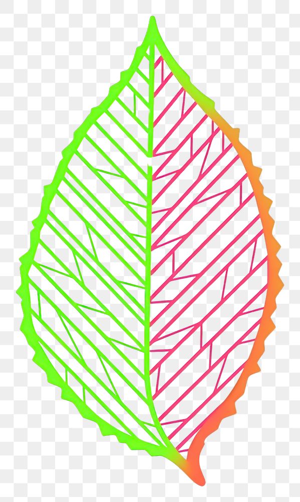 PNG Plant leaf line creativity.