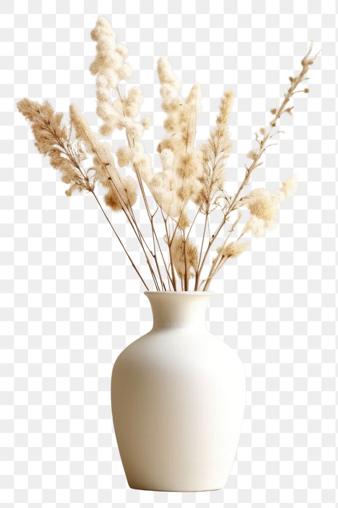 PNG  Dried flower vase plant white AI generated Image by rawpixel