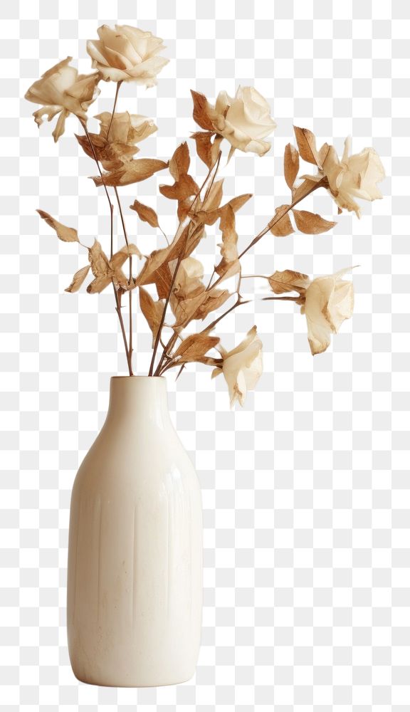 PNG  Dried rose flower vase plant. AI generated Image by rawpixel.
