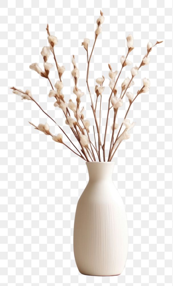 PNG  Flower vase plant white arrangement AI generated Image by rawpixel
