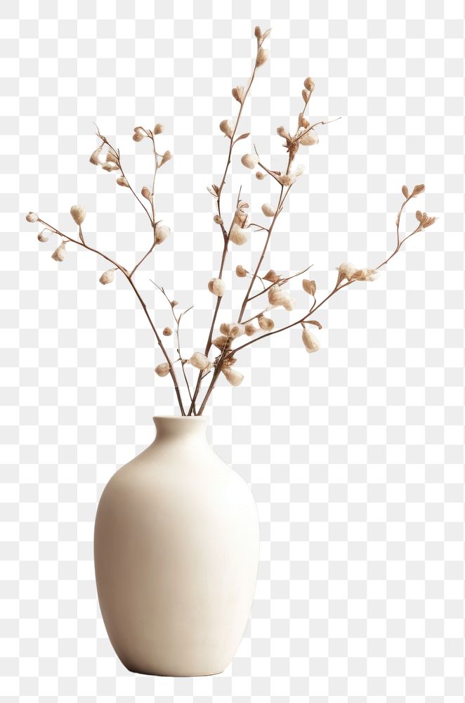 PNG  Flower vase plant white decoration. AI generated Image by rawpixel.