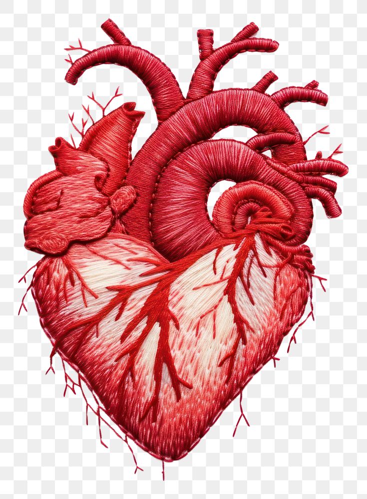 PNG The heart in embroidery style creativity medical science.