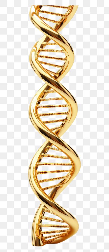 PNG A DNA gold jewelry white background.