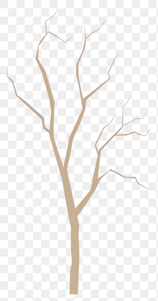 PNG Dried tree drawing sketch plant.