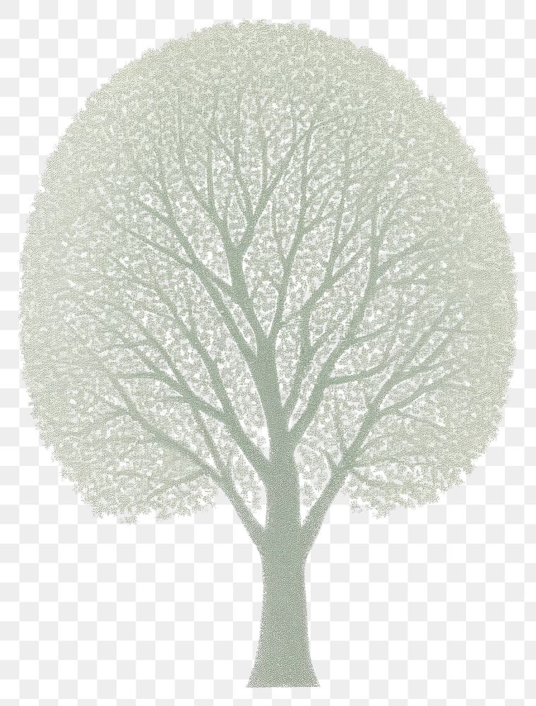PNG A tree outdoors nature sketch.