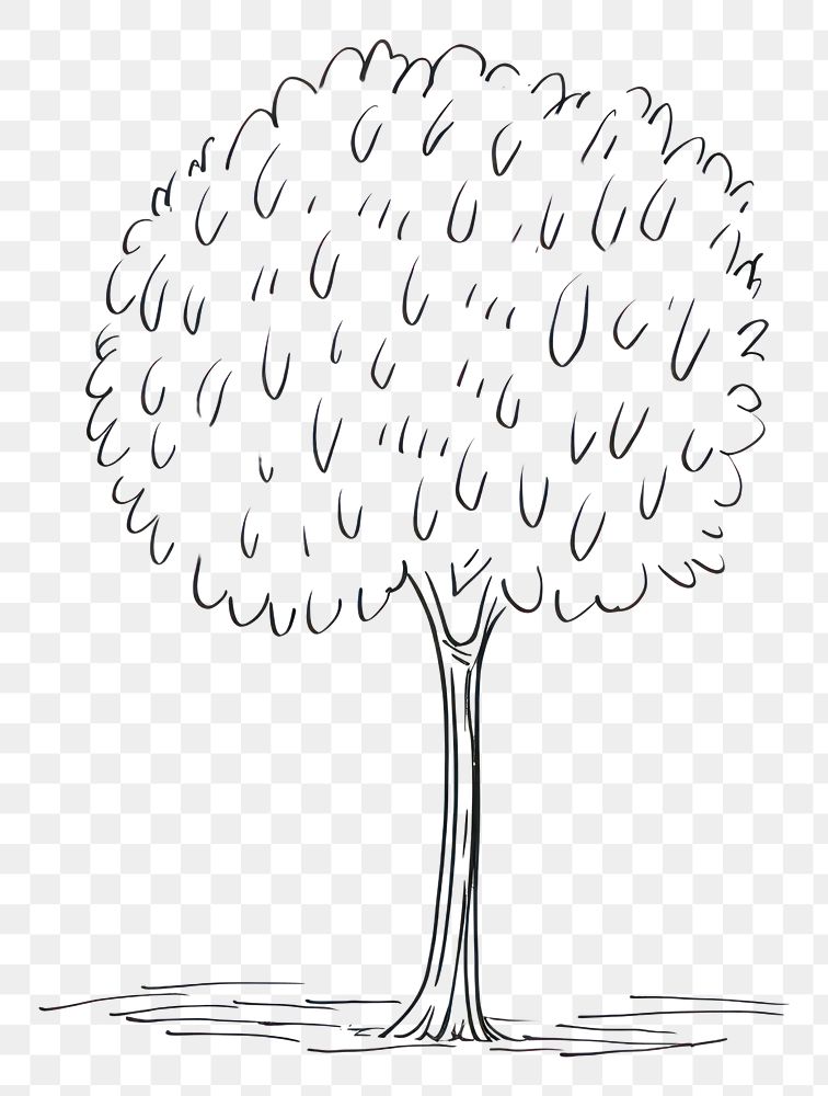 PNG A tree drawing sketch white.