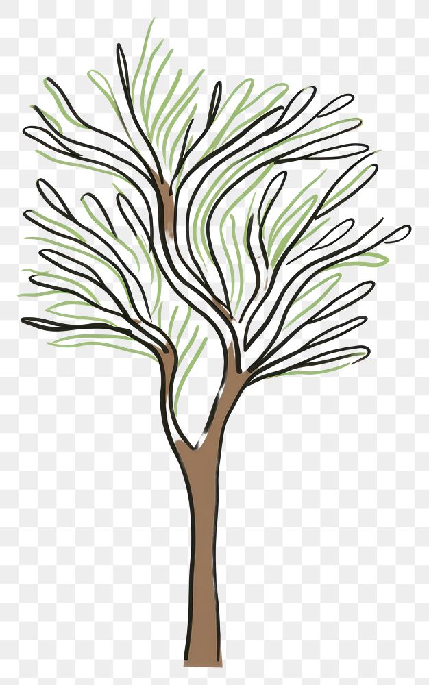 PNG A tree drawing sketch plant.