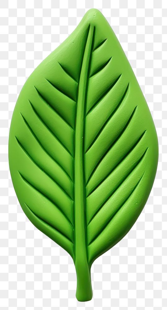 PNG Plasticine of a leaf plant white background accessories.