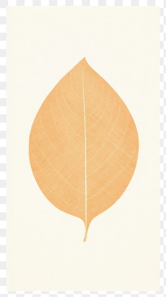 PNG Tree leaf plant white background pattern.