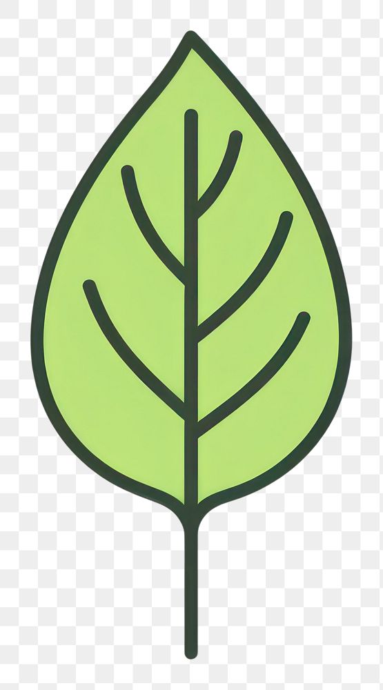PNG Green tree leaf plant line logo.