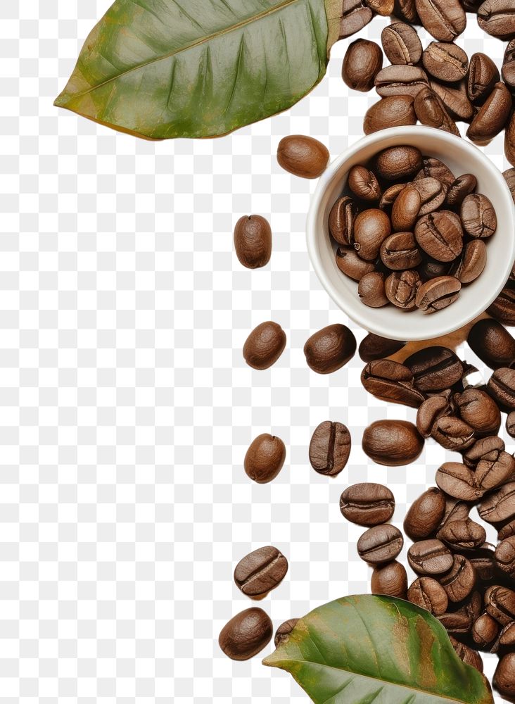 PNG Coffee beans border backgrounds paper refreshment.