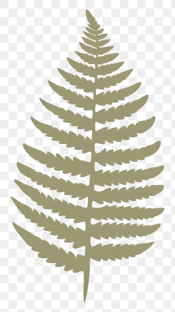 PNG  Illustration of a fern leaf plant pattern nature.