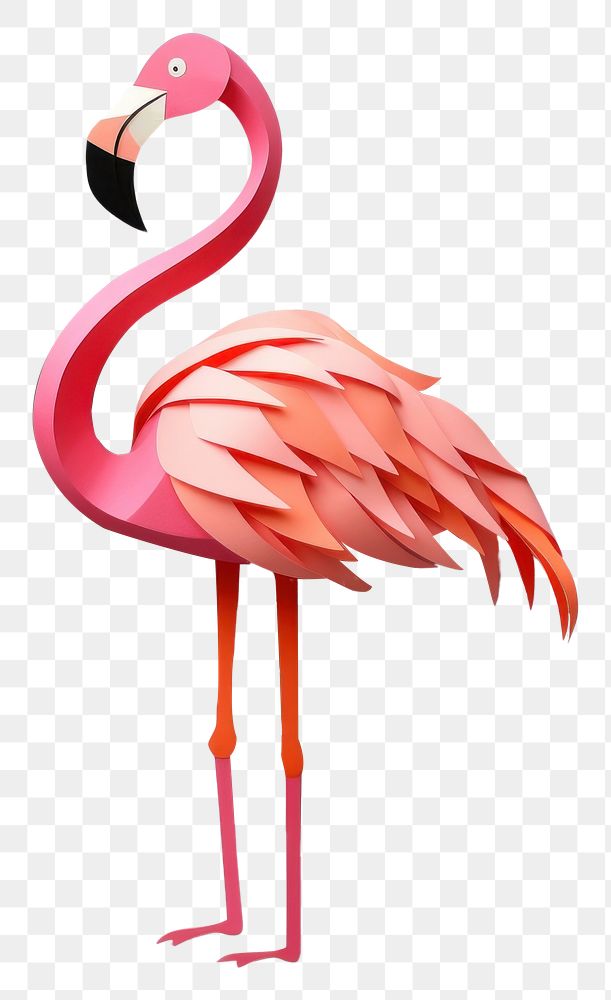 PNG Flamingo animal bird creativity.