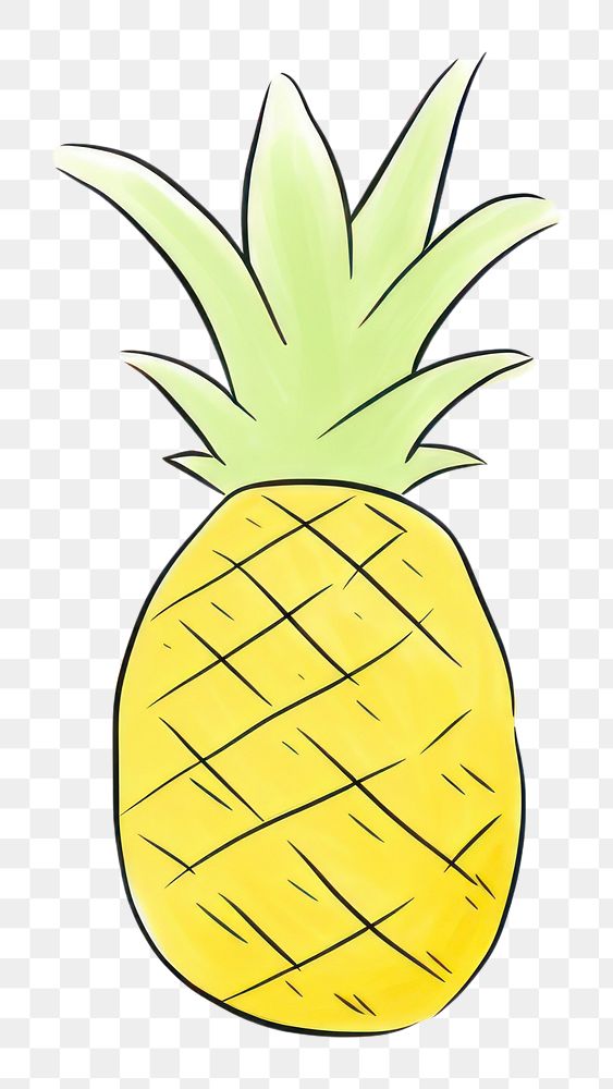 PNG Pineapple drawing fruit plant.