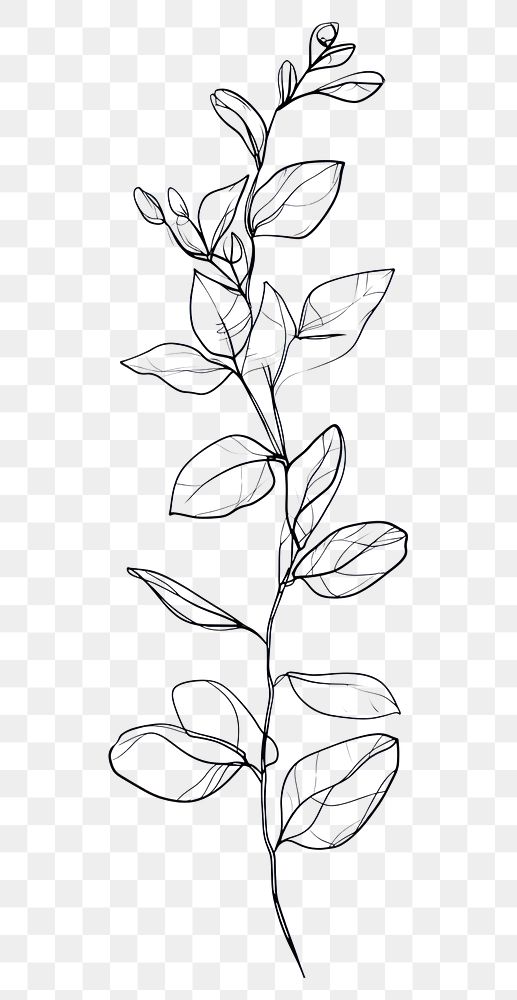 PNG Line art body drawing sketch plant
