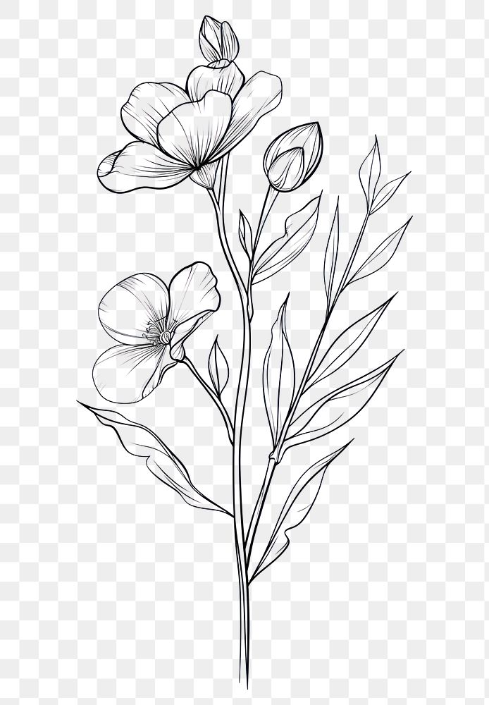PNG Line art hande with flower drawing sketch plant.