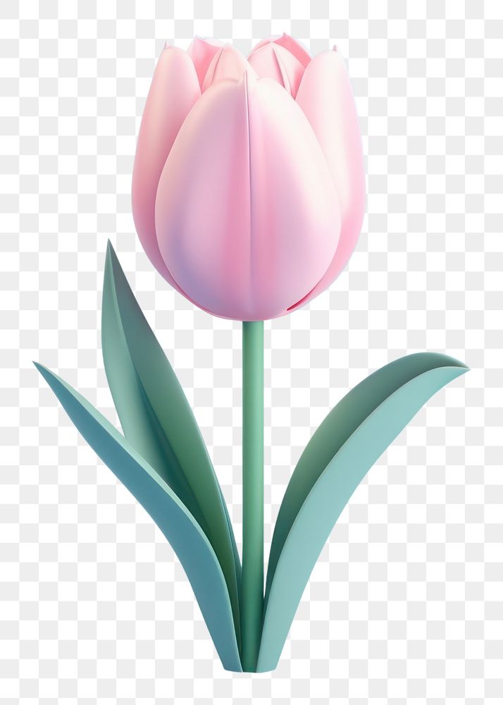 PNG 3d render icon of minimal cute pastel tulip blossom flower plant.