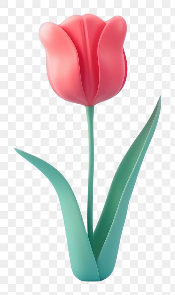 PNG 3d render icon of minimal cute tulip flower plant inflorescence.