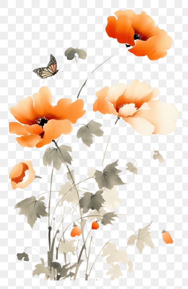 PNG Flowers with butterfly painting poppy plant.