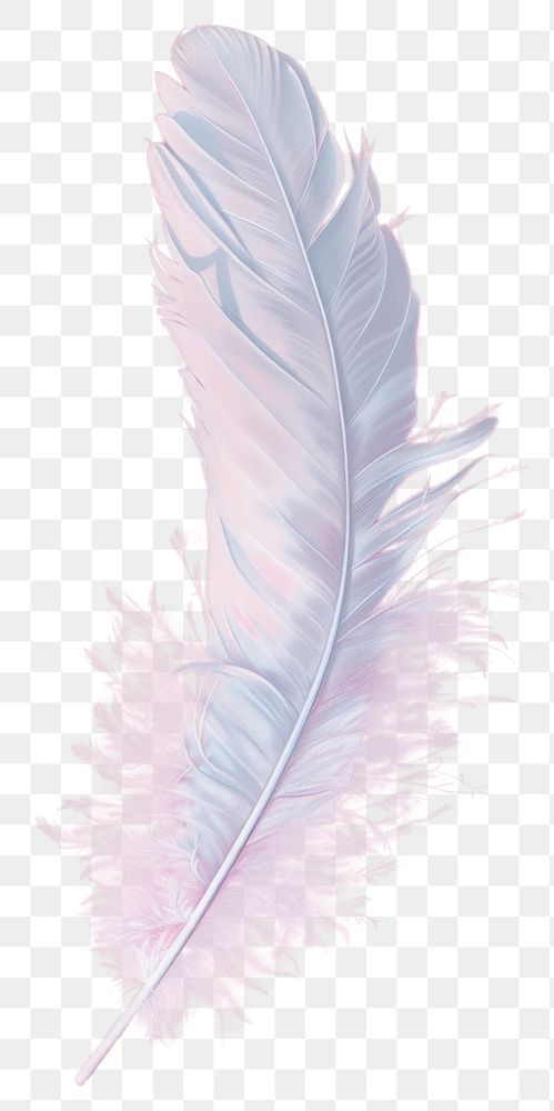 PNG Feather lightweight creativity fragility.
