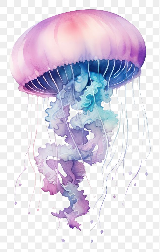 PNG  Galaxy element of jellyfish in Water color style white background invertebrate transparent.