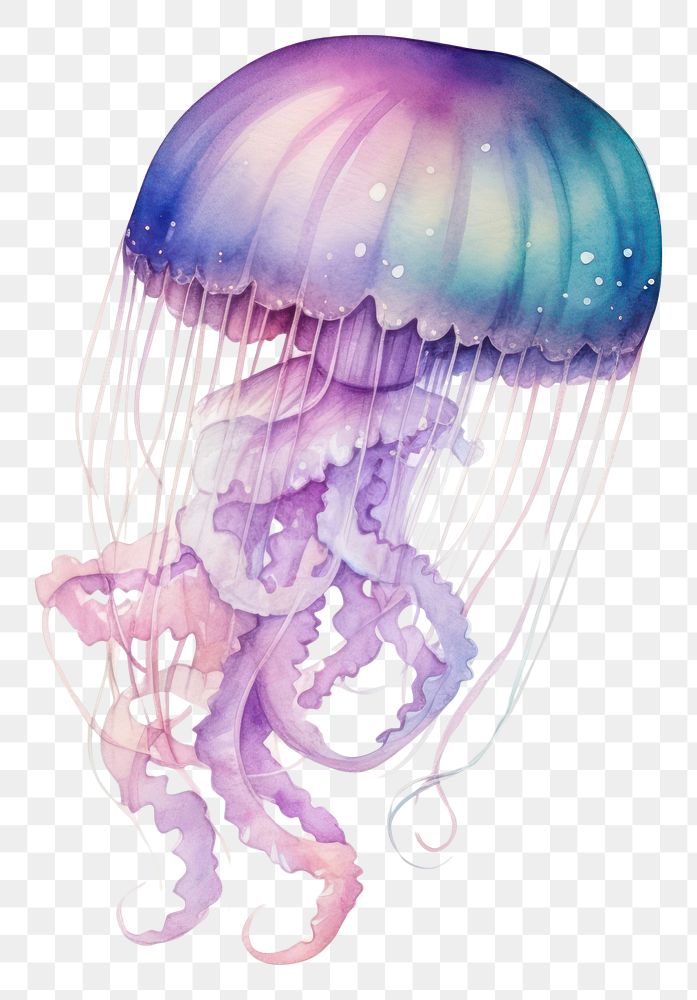 PNG  Galaxy element of jellyfish in Water color style animal white background invertebrate.