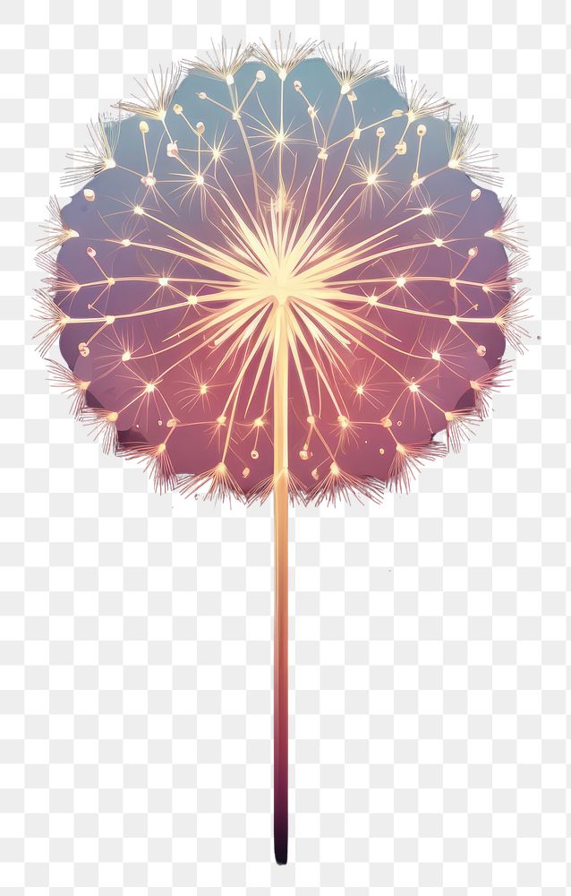 PNG A dandelion fireworks outdoors nature.