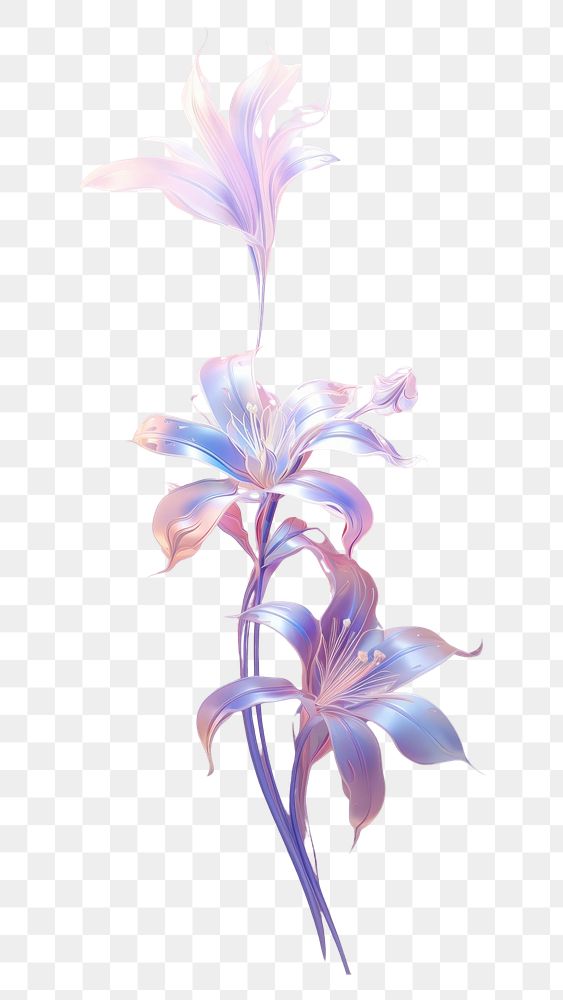 PNG  Lily flower pattern purple petal.
