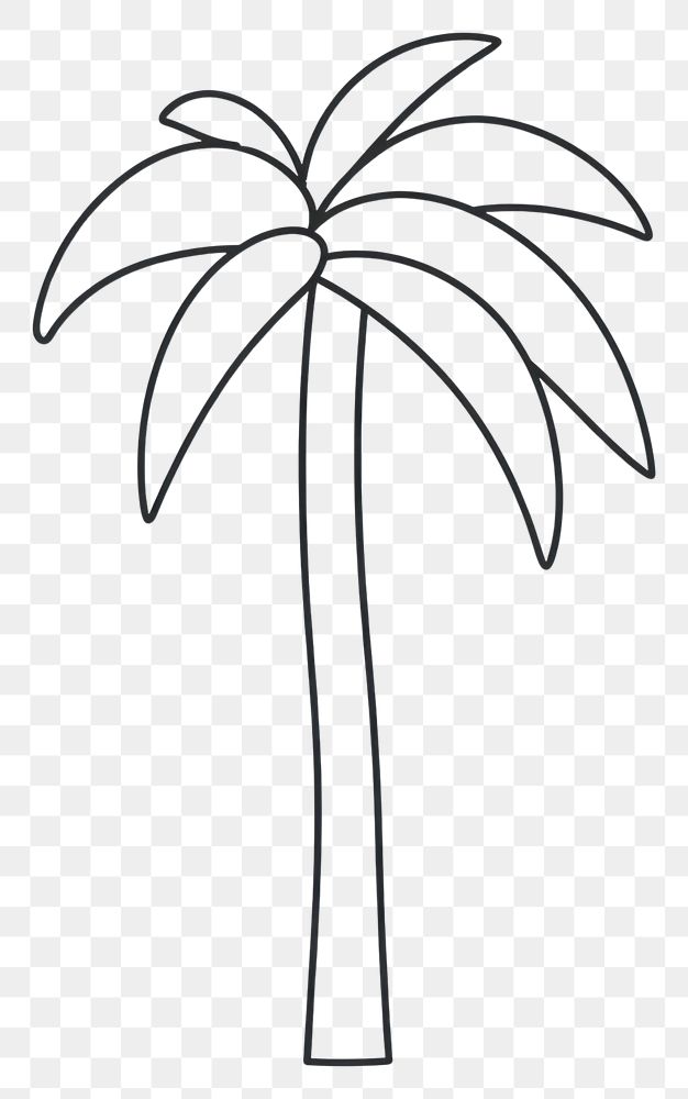 PNG  Minimal illustration of palm tree drawing sketch plant.