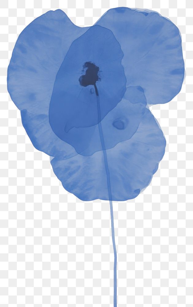 PNG Illustration of a Blue pea petal plant blue.
