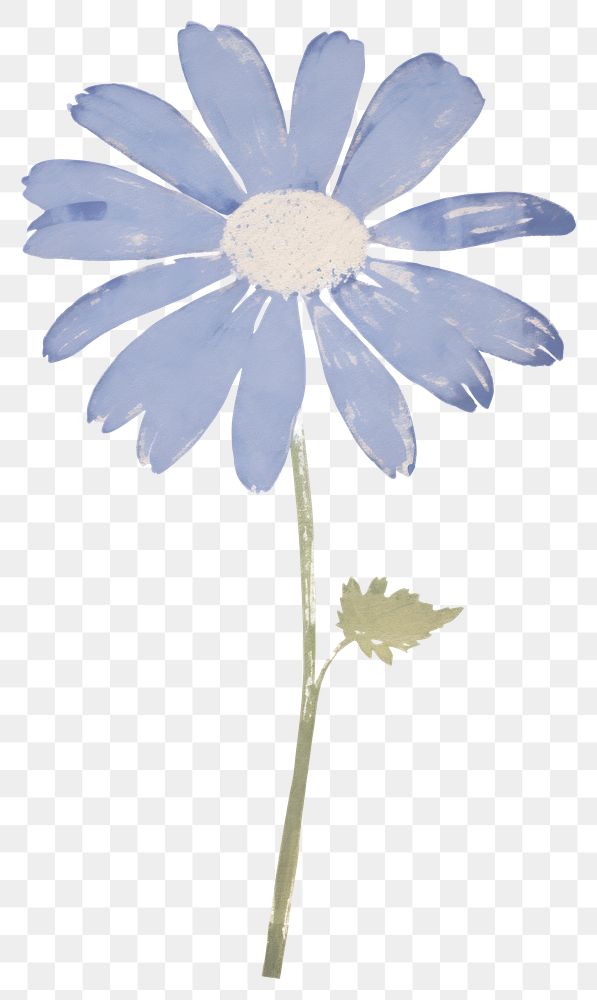 PNG Illustration of a Daisy blue daisy flower petal.