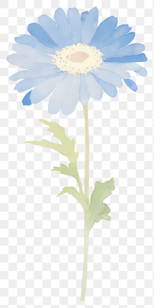 PNG Illustration of a Daisy blue daisy flower petal.