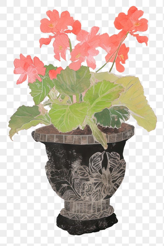 PNG Illustration of a Flower Pot flower plant leaf.