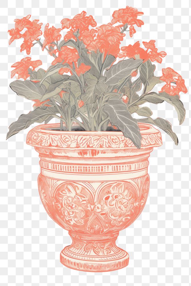 PNG Illustration of a Flower Pot flower plant vase.