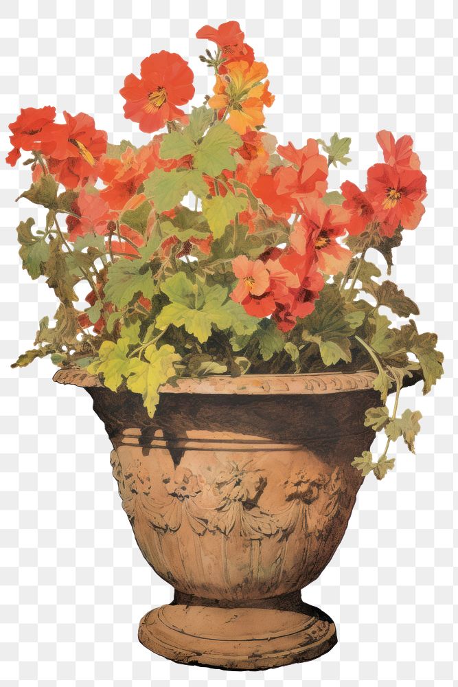PNG Illustration of a Flower Pot flower plant vase.