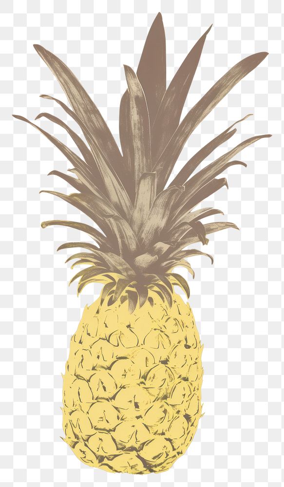 PNG Illustration of a pineapple fruit plant food.