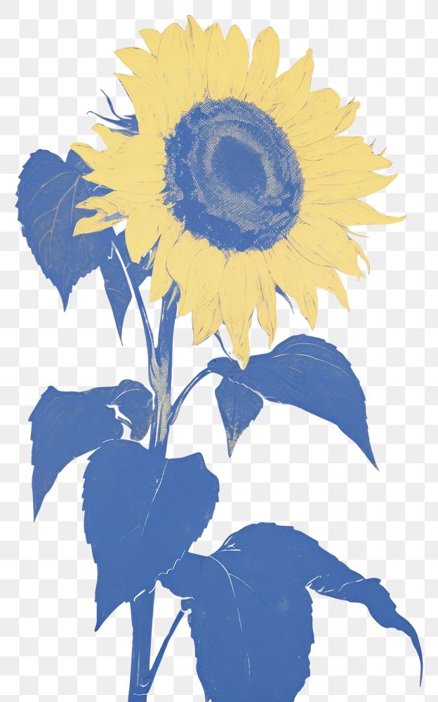 PNG Illustration of a sunflower blue plant inflorescence creativity.