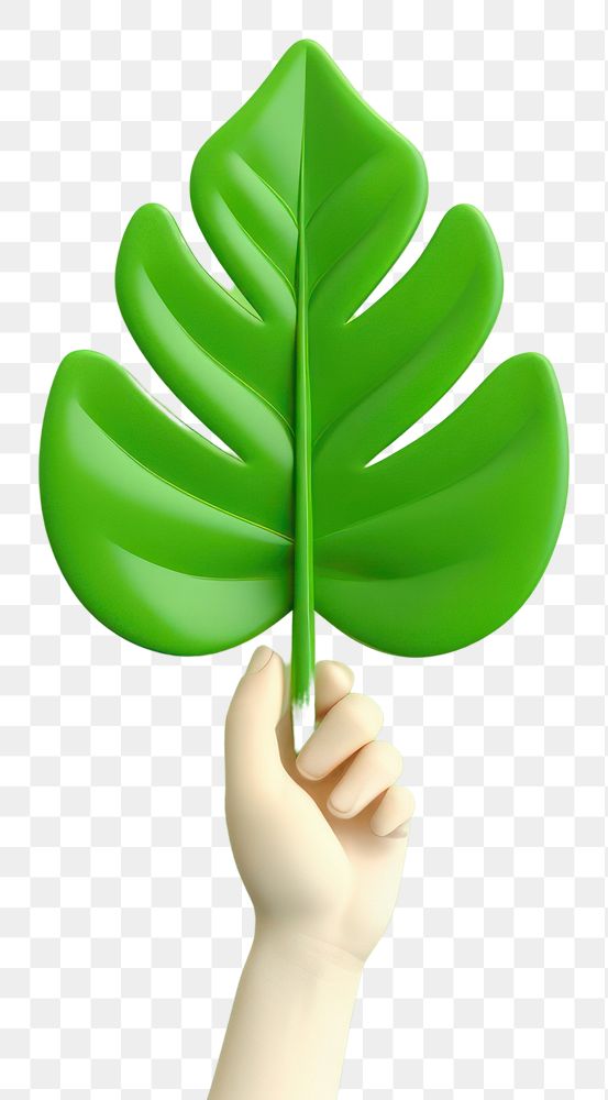 PNG Hand holding leaf green plant freshness.