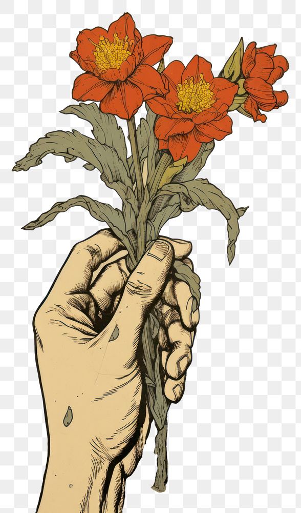 PNG  An isolated hand hold narcissus flower art drawing. AI generated Image by rawpixel.