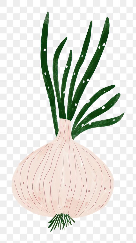 PNG Cute onion illustration vegetable plant food.