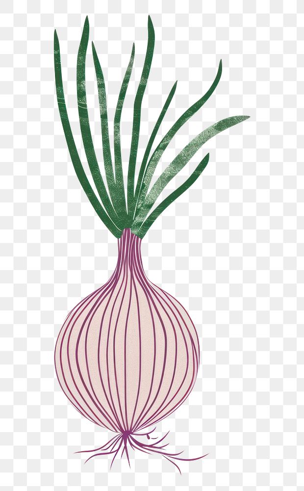 PNG Cute onion illustration vegetable plant food.