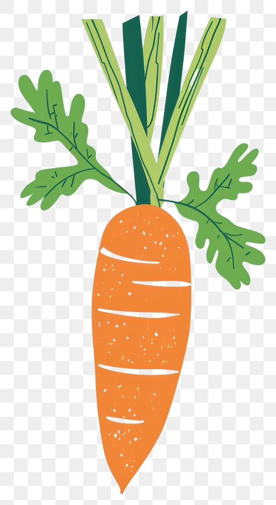 PNG Cute carrot illustration vegetable plant food.